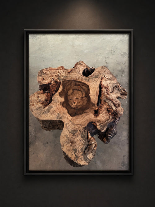 Black framed photography print of a cracked, weathered wood cross section showing concentric growth rings and natural burl edges, displayed on a dark wall ‘Rings of Time’ fine art print by TriflexCreativeStudio” Available framed or unframed. Each piece is a limited edition, signed and numbered by the artist.