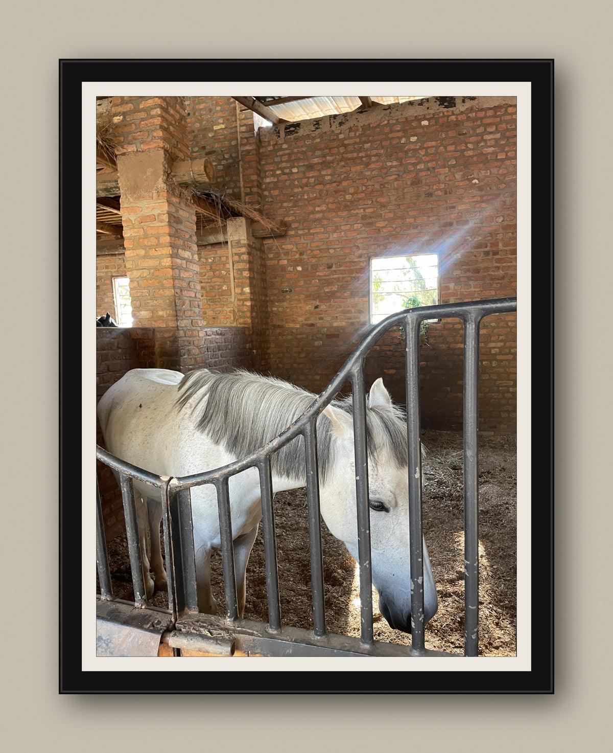  “Framed portrait photo of a grey horse with a dark mane standing in a brick stable, viewed through black metal stall bars, hung in a black picture frame with a cream mat on a textured wall.”